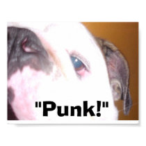 Bulldog poster posters