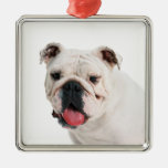 Bulldog Premium Ornament