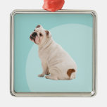 Bulldog Premium Ornament