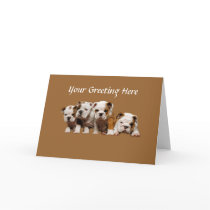 Bulldog Puppies Card