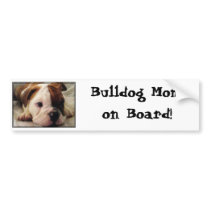 Bulldog puppy bumper sticker