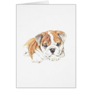 bulldog puppy card