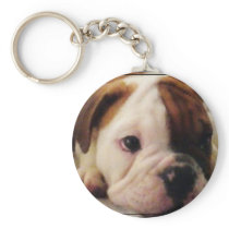 Bulldog puppy key chains