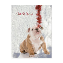 Bulldog Puppy Let It Snow #2 Holiday Greeting Post Card