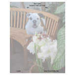 Bulldog puppy letterhead