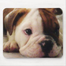 Bulldog puppy mouse mats