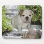 Bulldog Puppy Mousepad Waterfall