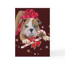 Bulldog puppy with red bow and candy cane cards by friskybiz Bulldog puppy with red bow and candy cane cards