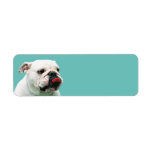 Bulldog Return Address Label