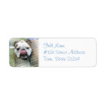 Bulldog Return Address Label