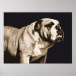Bulldog Spirit Posters