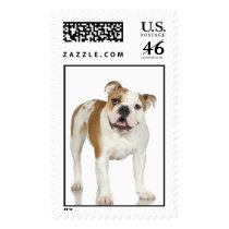 Bulldog Stamp (LARGE)