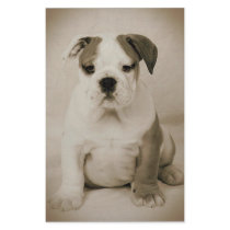 bulldog stationery by cjoy420 bulldog stationery