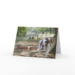 Bulldog Thank You Card