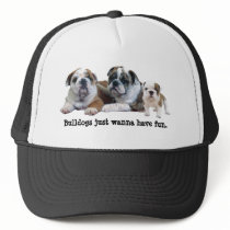 Bulldog Trio Hat