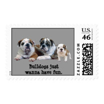 Bulldog Trio Postage Stamp