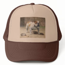 Bulldog Vinatage Hat by normagolden Bulldog Vinatage Hat
