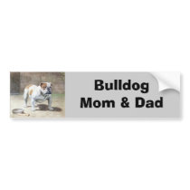 Bulldog Vintage Bumper Sticker bumper stickers by normagolden Bulldog Vintage Bumper Sticker bumper stickers