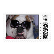Bulldog with Sunglasses postage by Zimfool Bulldog with Sunglasses postage