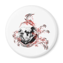 bulldogge magnets