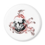 bulldogge magnets