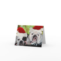 Bulldogs cards
