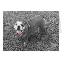 Bulldogs cards by jvinnyg Bulldogs cards