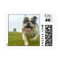 bulldogs free at the park postage