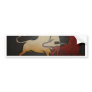 Bullfight 1 bumper stickers