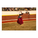 Bullfighting in Portugal posters