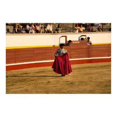 Bullfighting in Portugal Posters by drjwtaylor