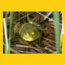Bullfrog Card cards