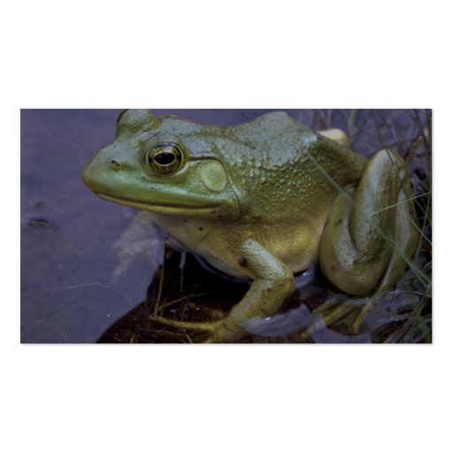 Bullfrog, Lake St. Peter, Ontario, Canada Business Cards (back side)
