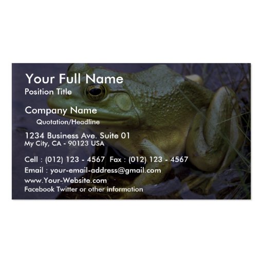 Bullfrog, Lake St. Peter, Ontario, Canada Business Cards (front side)