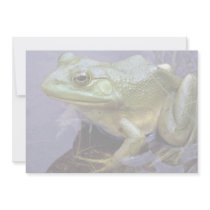 Bullfrog, Lake St. Peter, Ontario, Canada Custom Announcement