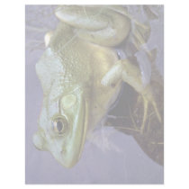 Bullfrog, Lake St. Peter, Ontario, Canada Letterhead Design
