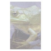 Bullfrog, Lake St. Peter, Ontario, Canada Stationery