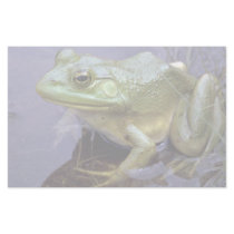 Bullfrog, Lake St. Peter, Ontario, Canada Custom Stationery