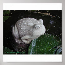 BULLFROG POSTERS