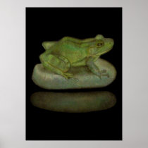 BULLFROG POSTER
