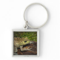 Bullfrog, Rana catesbeiana Key Chains