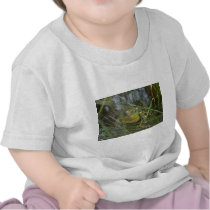 Bullfrog Tees