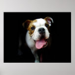 Bullie posters