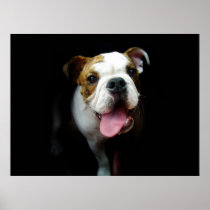 Bullie Print