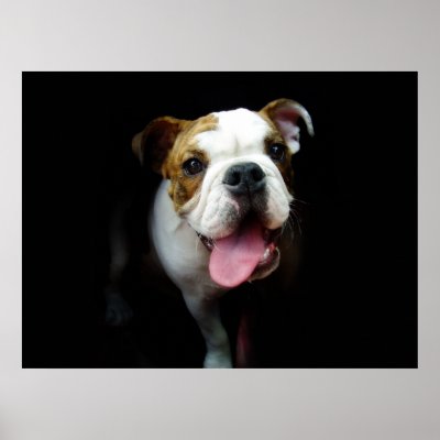Bullie Print by jbr0530