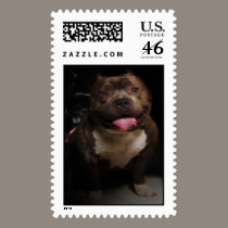 Bullie Stamp stamps