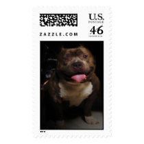 Bullie Stamp by SpredTheNalej Bullie Stamp