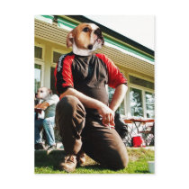 Bullman postcards by Junglegeorge Bullman postcards