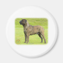 Bullmastiff 9R071D-077 Magnets