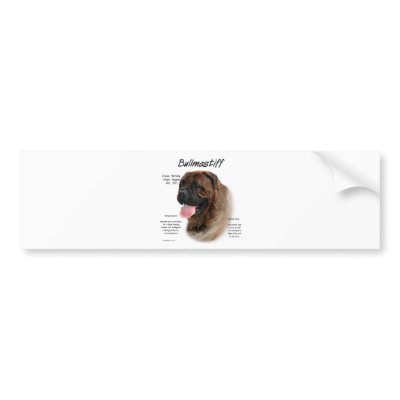 Bullmastiff (brindle) History Design Bumper Sticker by GreyWolfCreation